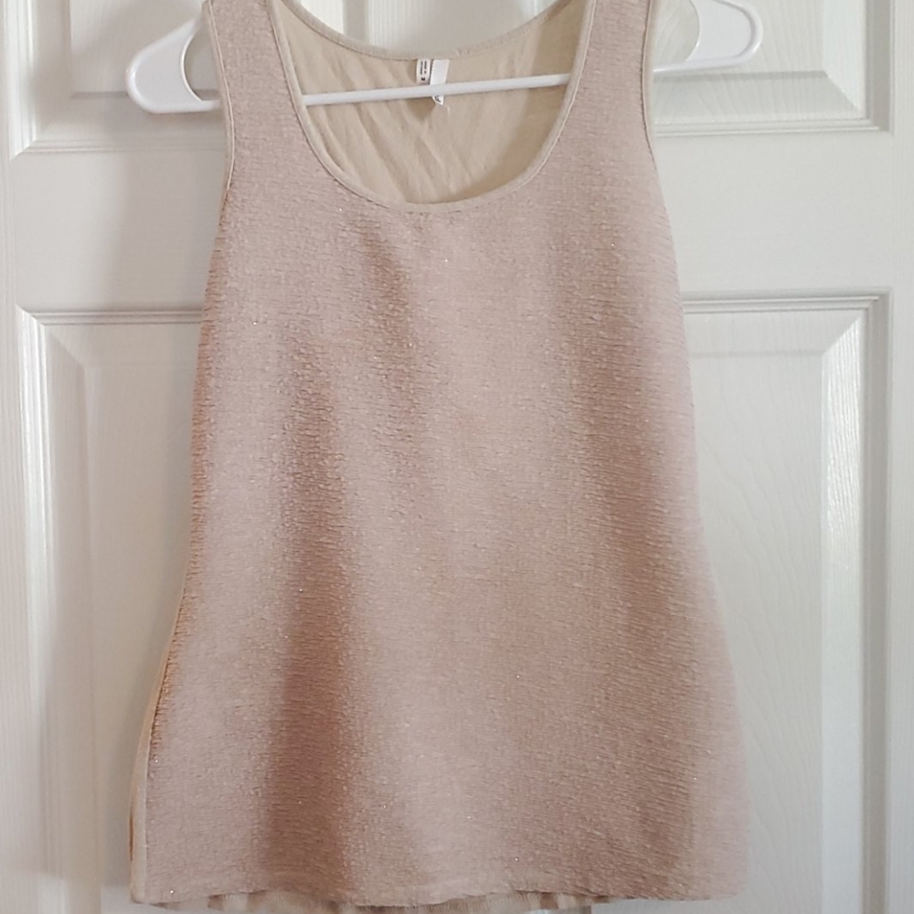 Cream gold glitter top